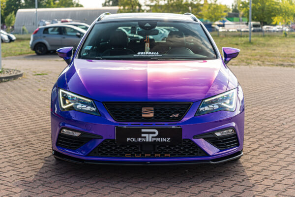 Gloss Plum Purple