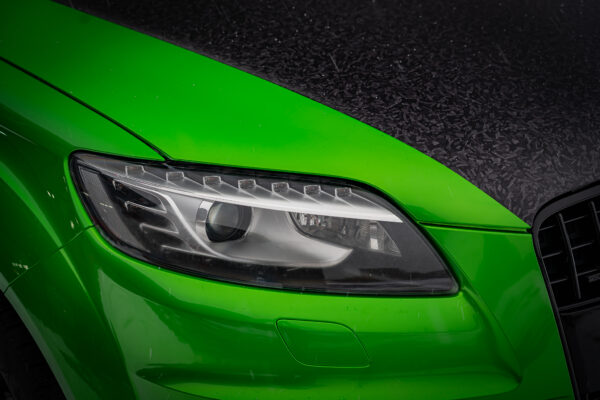 Gloss Kawasaki Green