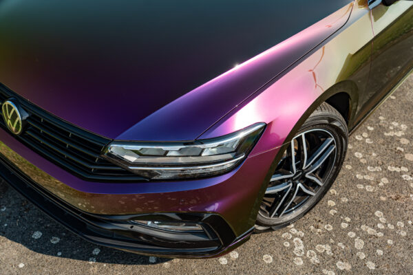 Chameleon Gold Purple Green