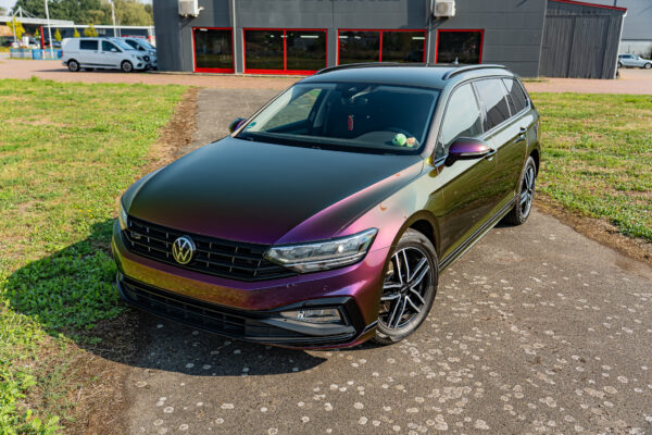 Chameleon Gold Purple Green
