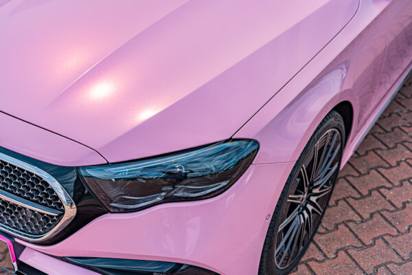 Gloss Camellia Pink