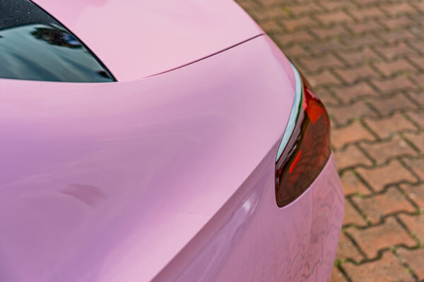 Gloss Camellia Pink
