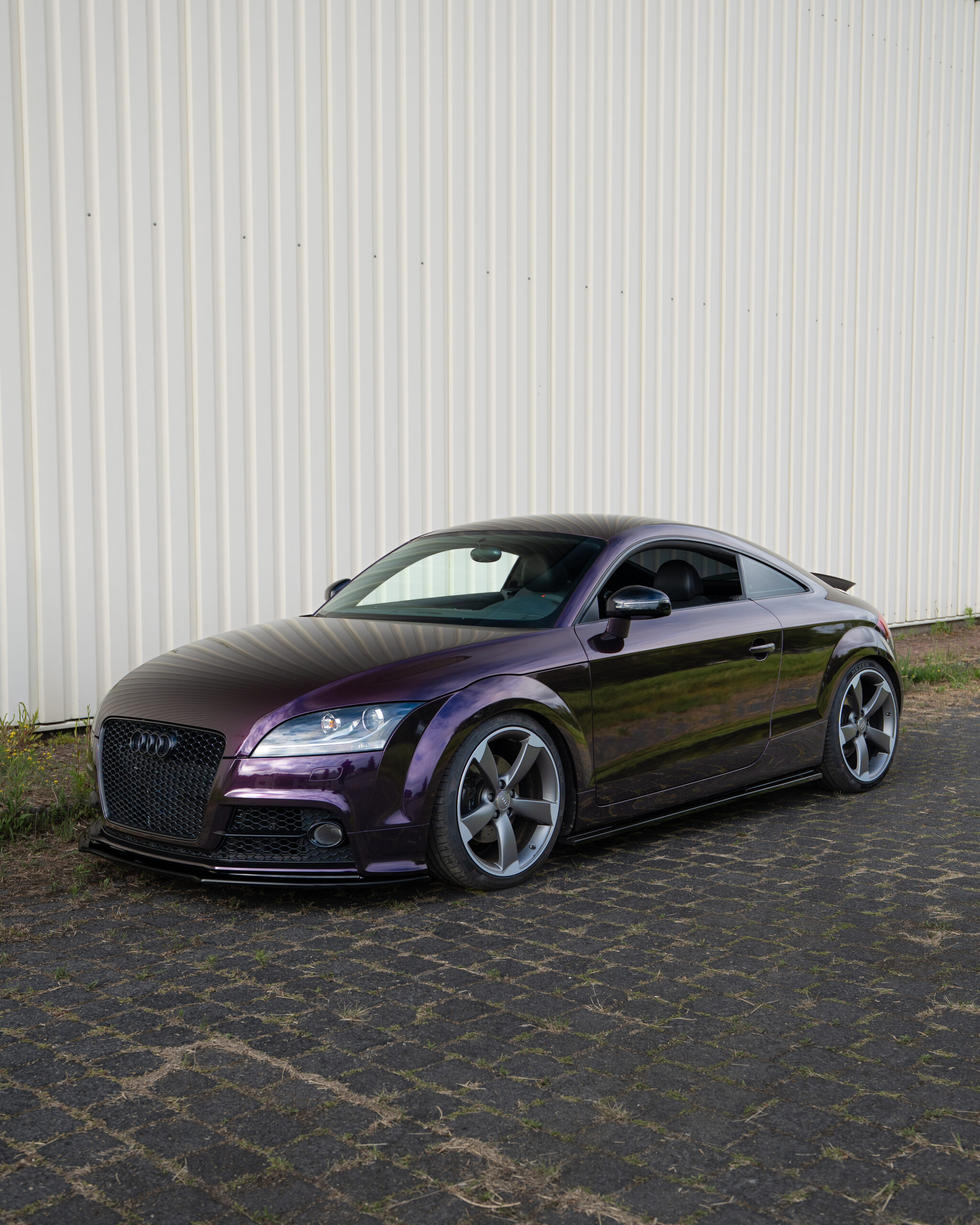 Gloss Gentian Purple