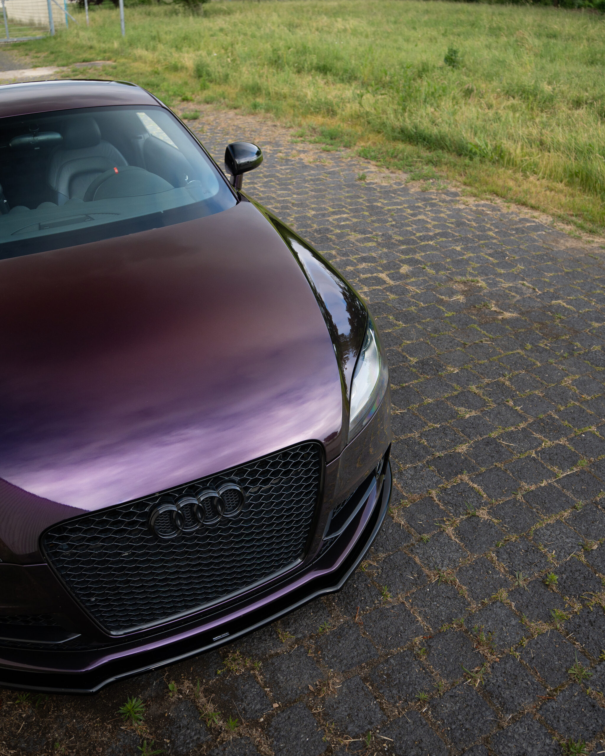 Gloss Gentian Purple