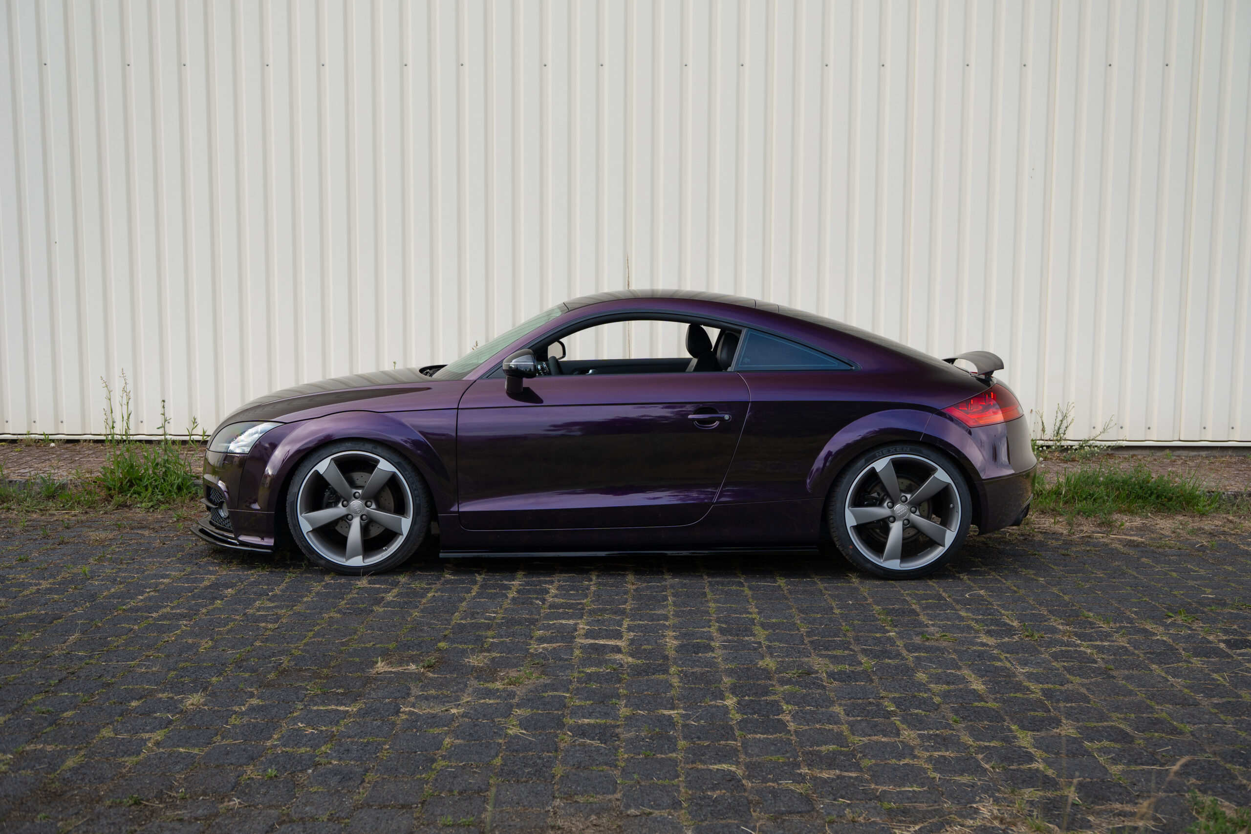 Gloss Gentian Purple