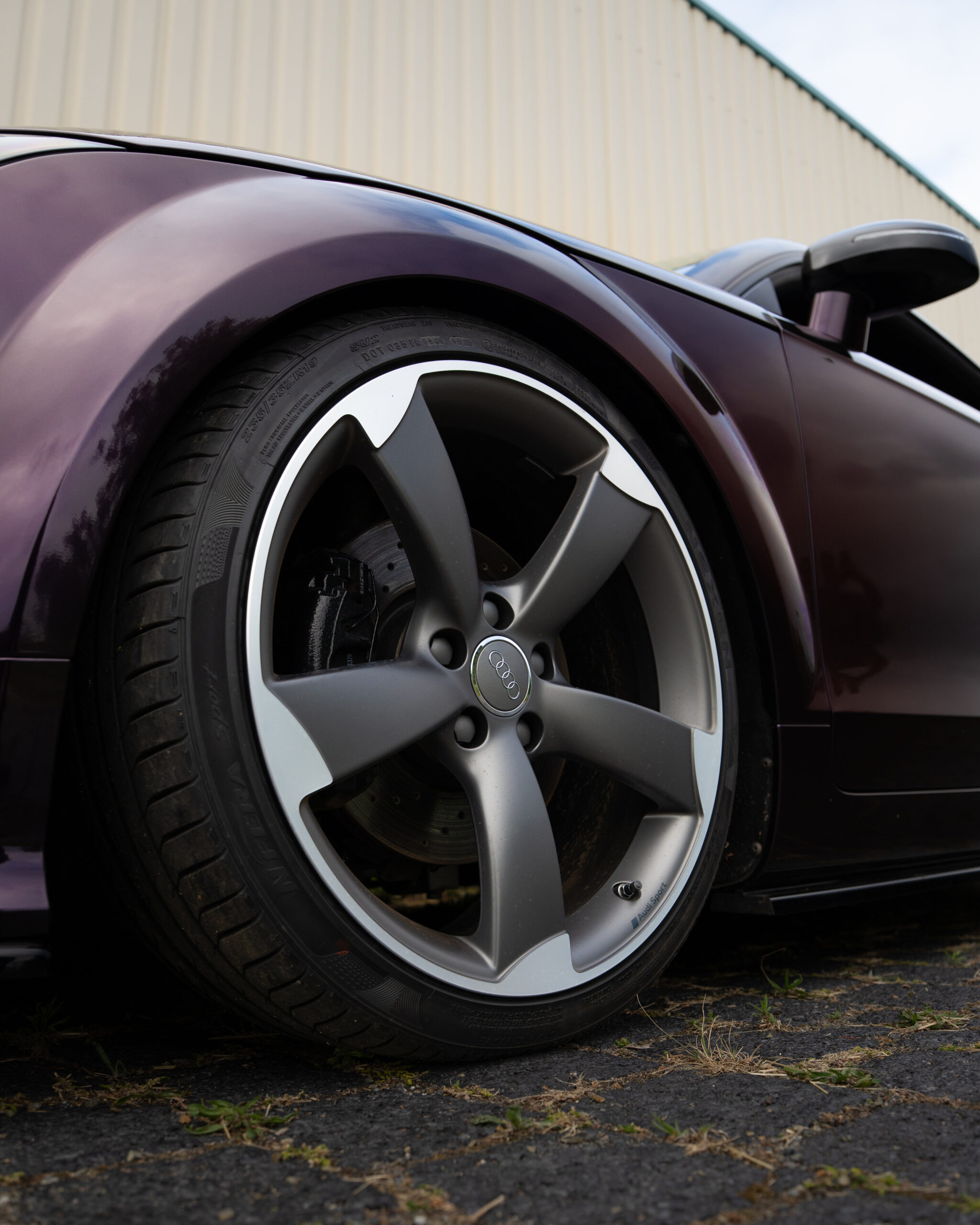 Gloss Gentian Purple
