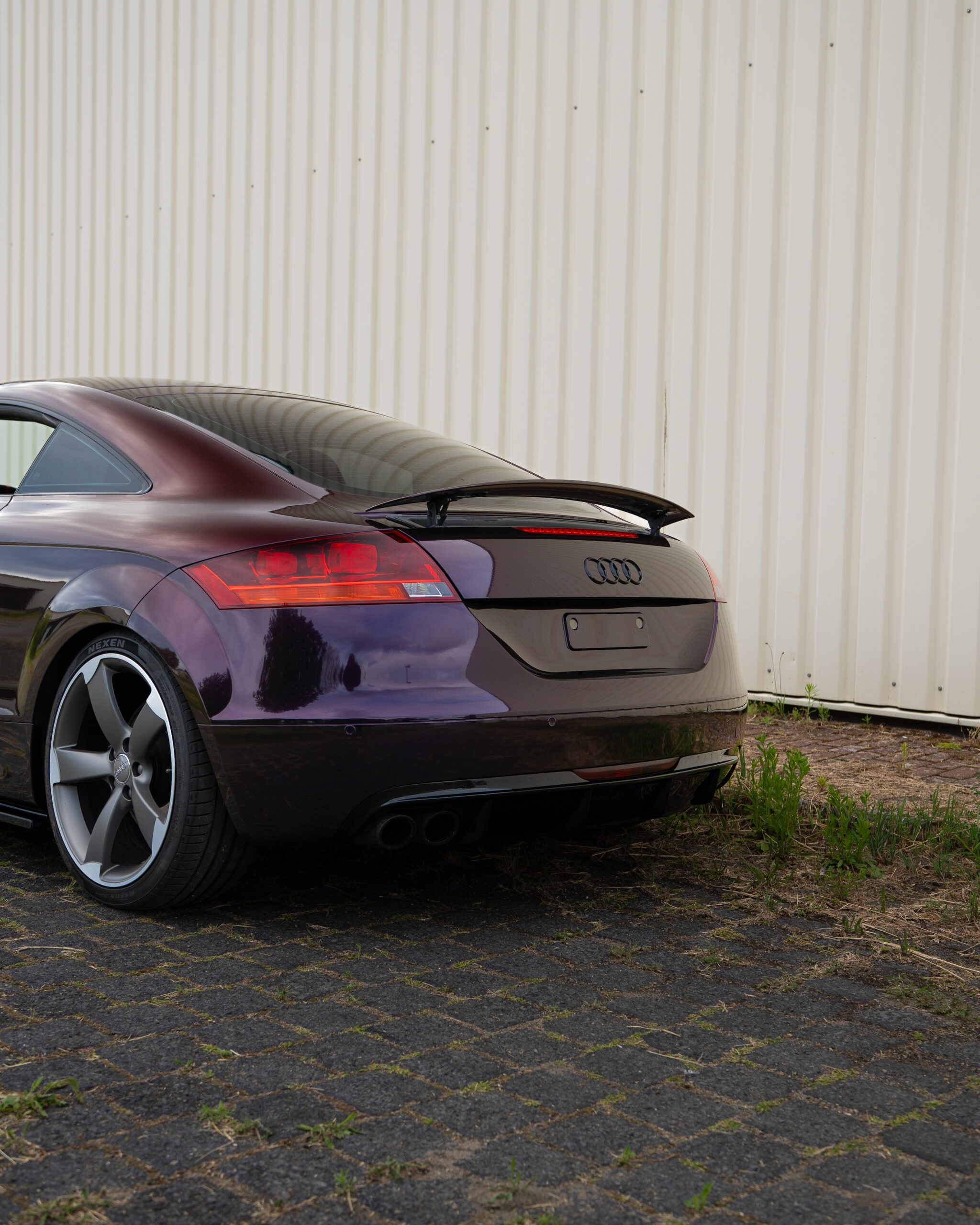 Gloss Gentian Purple