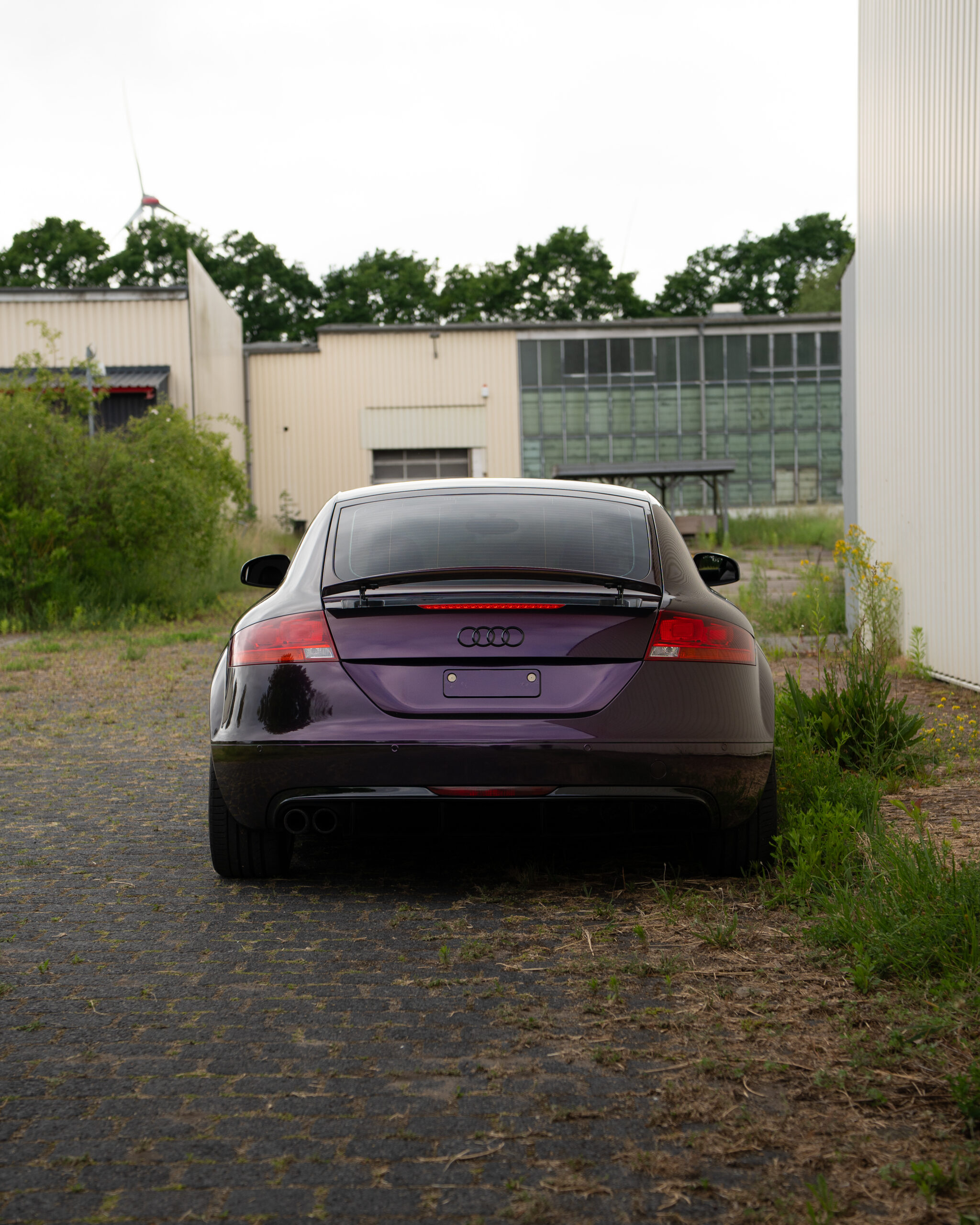 Gloss Gentian Purple
