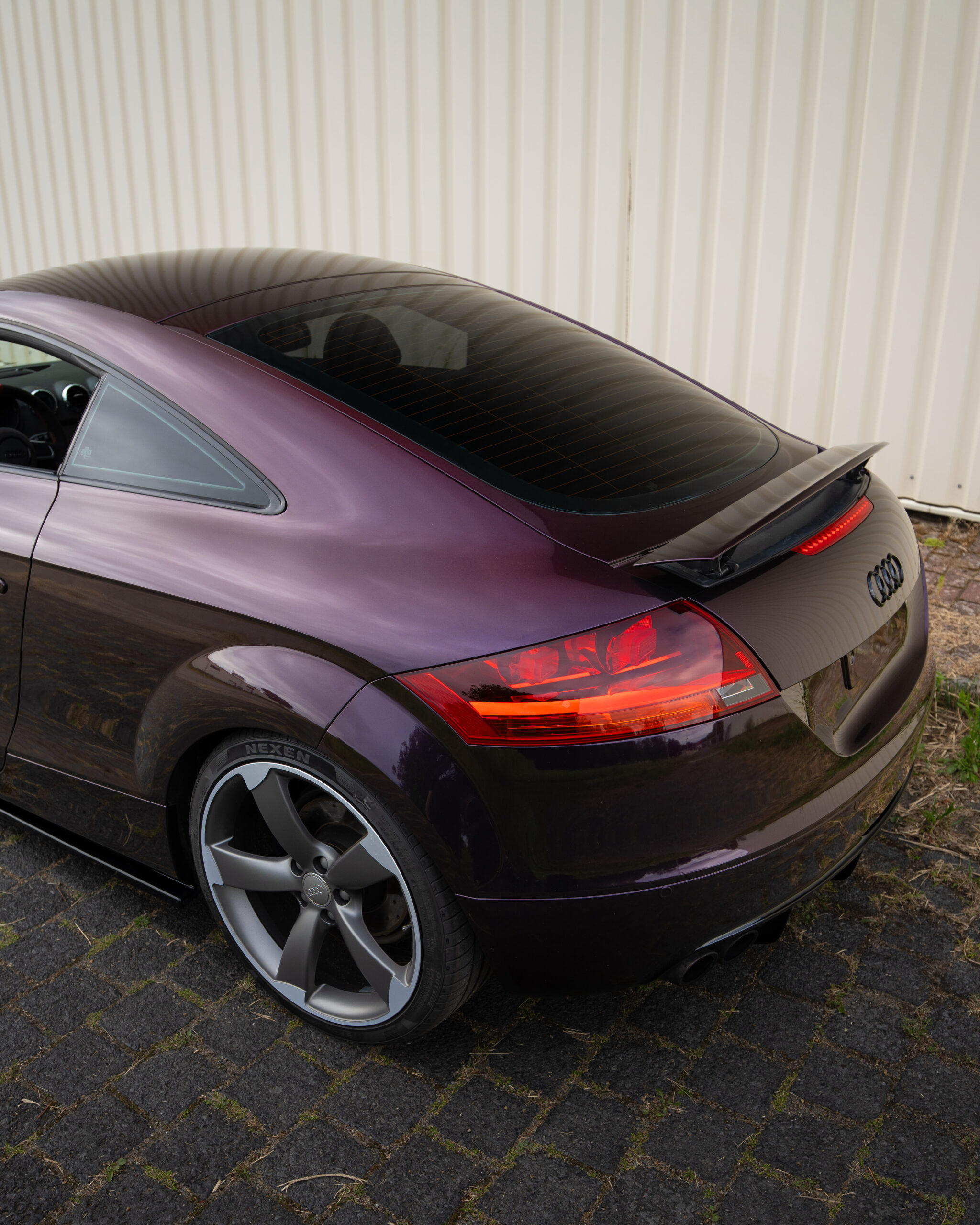 Gloss Gentian Purple