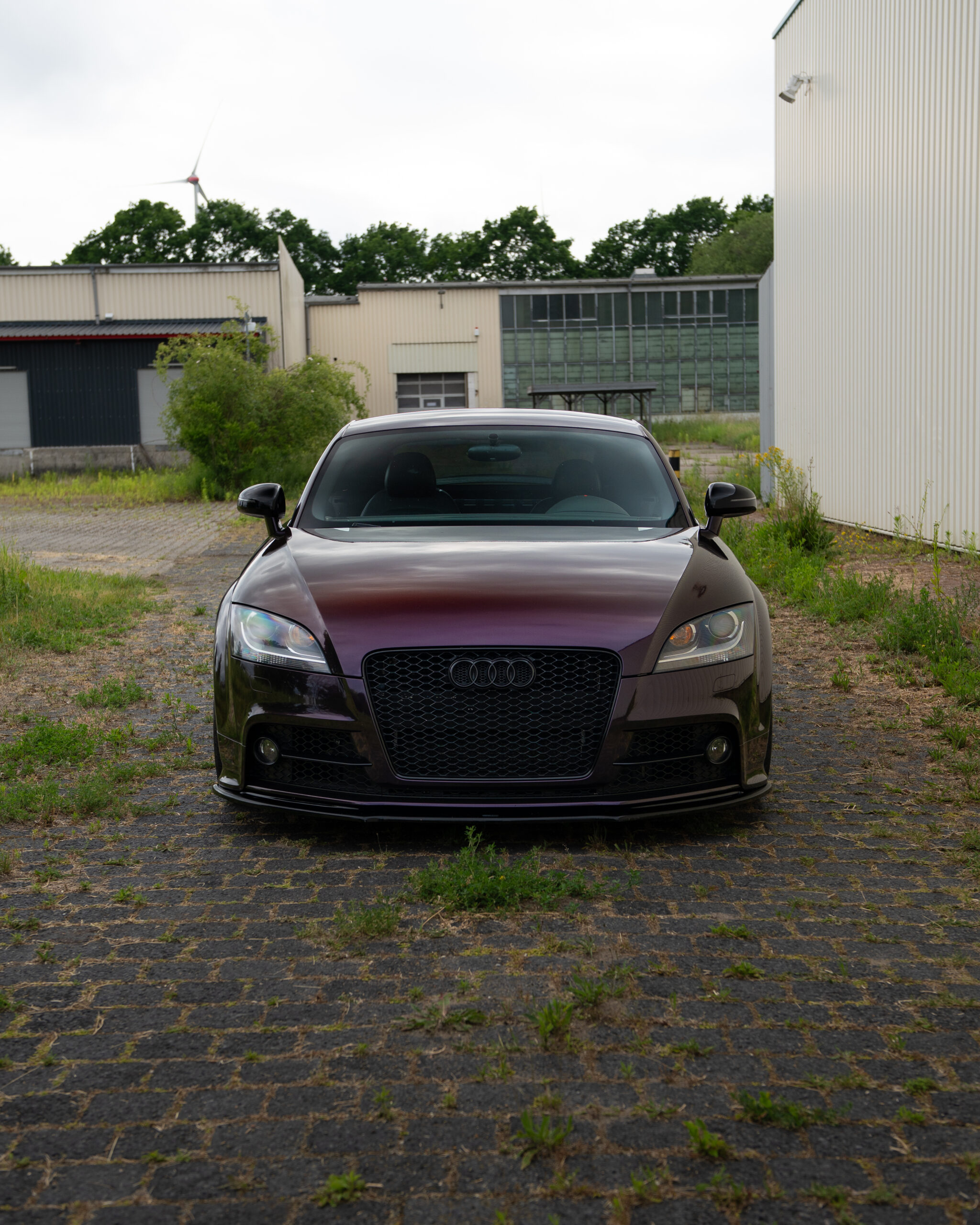 Gloss Gentian Purple