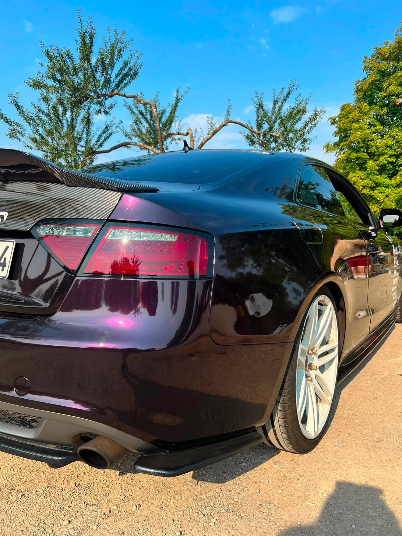 Gloss Gentian Purple